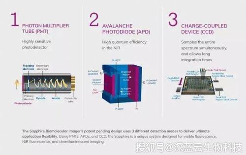 APD与PMT在光电器件中区别解析